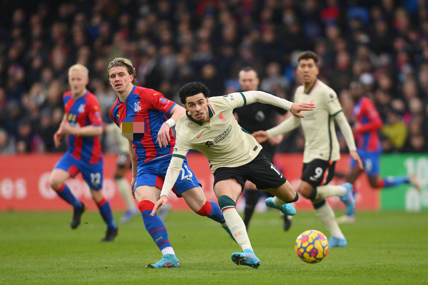 泳世锦赛无 泳世锦赛无